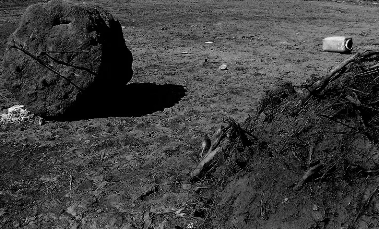 Янина Болдырева – Нонсенс 2