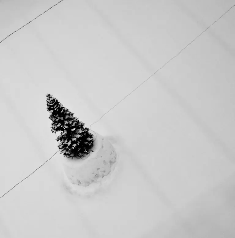 Янина Болдырева – Нонсенс 20