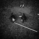 Янина Болдырева – Нонсенс 21