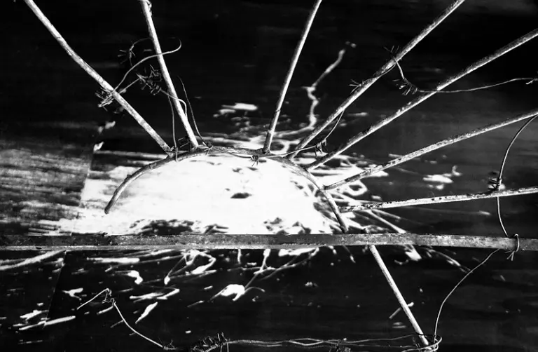 Янина Болдырева – Нонсенс 22