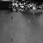 Янина Болдырева – Нонсенс 24