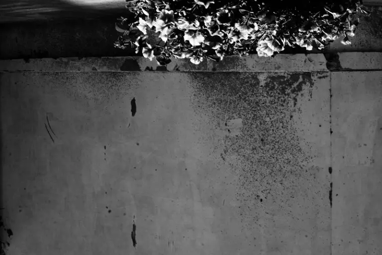 Янина Болдырева – Нонсенс 24