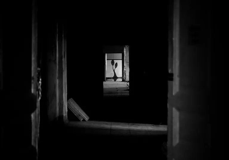 Янина Болдырева – Нонсенс 27