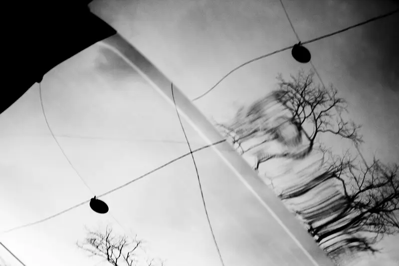 Нонсенс 29 Янина Болдырева – Нонсенс 29