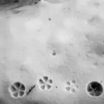 Янина Болдырева – Нонсенс 30