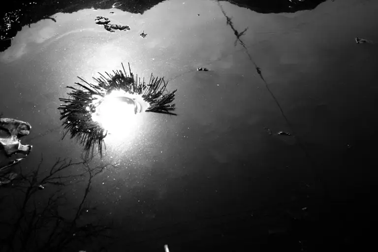 Янина Болдырева – Нонсенс 31