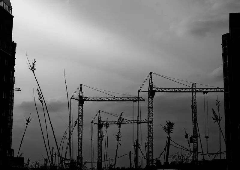 Нонсенс 34 Янина Болдырева – Нонсенс 34