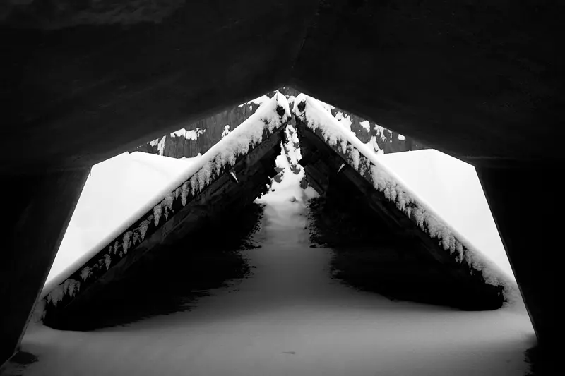 Нонсенс 37 Янина Болдырева – Нонсенс 37