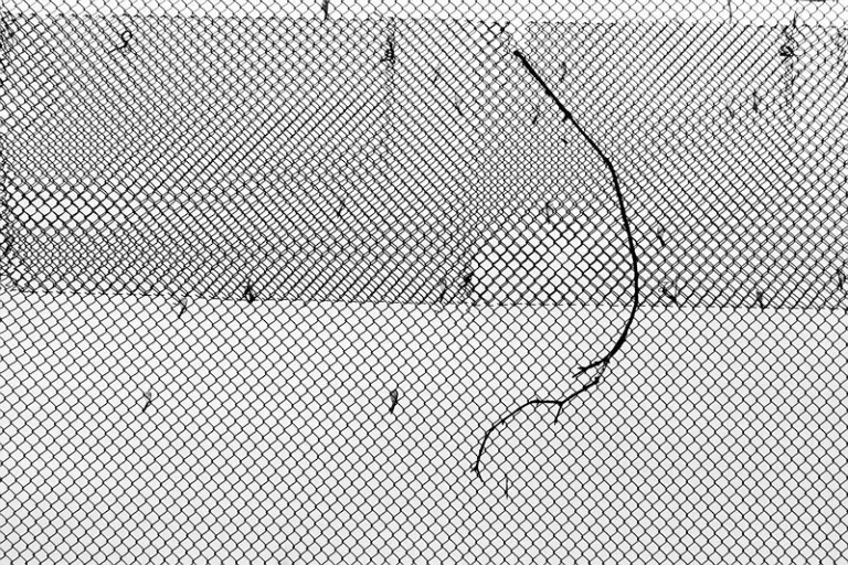 Янина Болдырева – Нонсенс 4