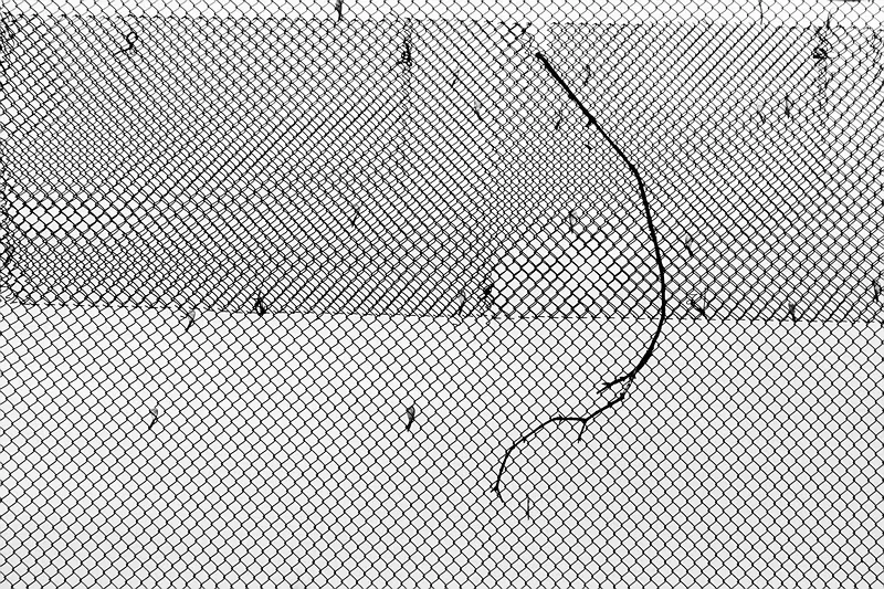 Нонсенс 4 Янина Болдырева – Нонсенс 4