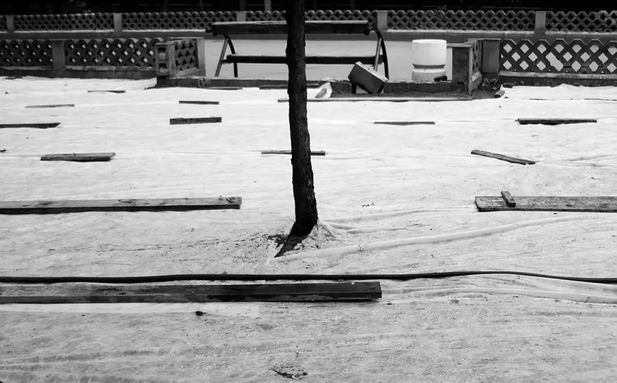 Нонсенс 40 Янина Болдырева – Нонсенс 40