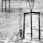 Янина Болдырева – Нонсенс 9