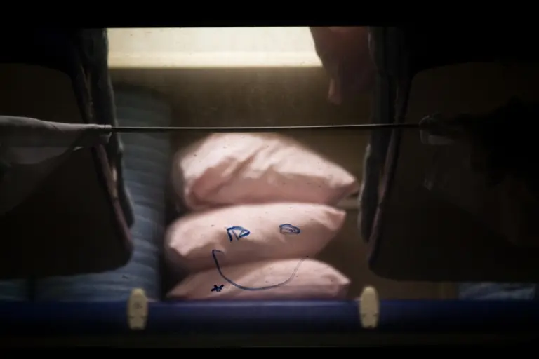 Янина Болдырева – Новый год в поездах 10