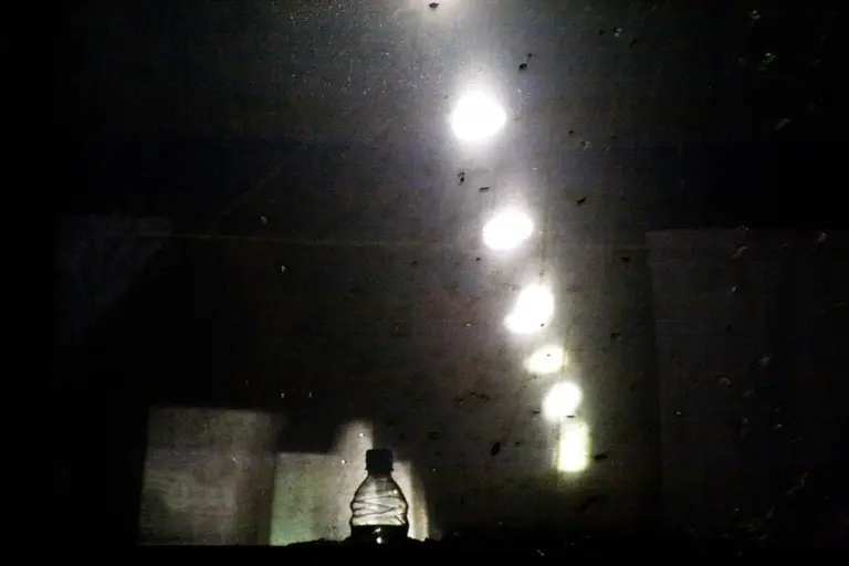 Янина Болдырева – Новый год в поездах 11