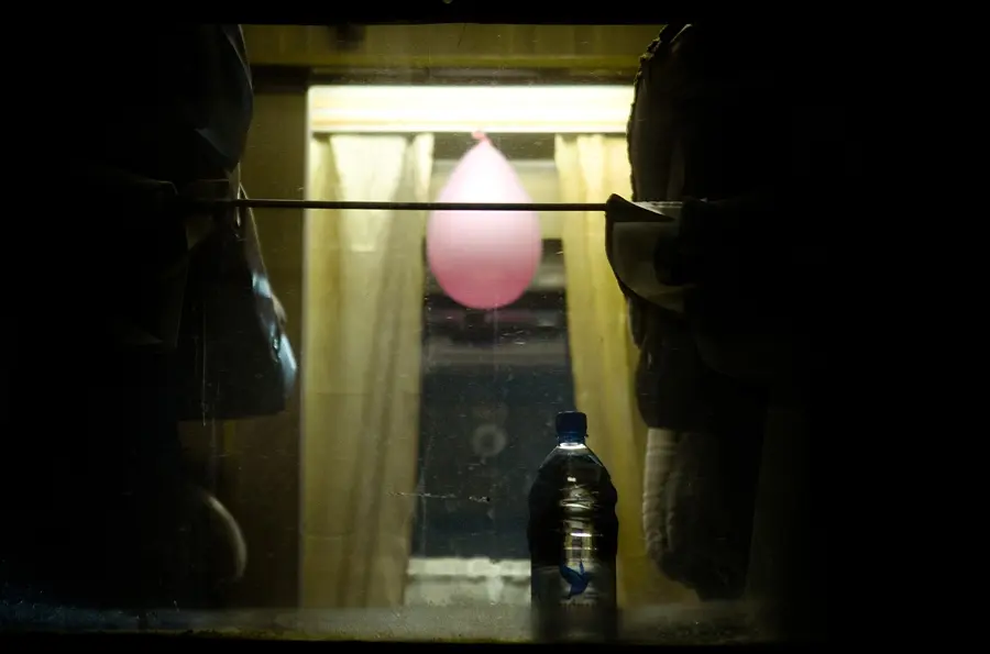 Янина Болдырева – Новый год в поездах 19