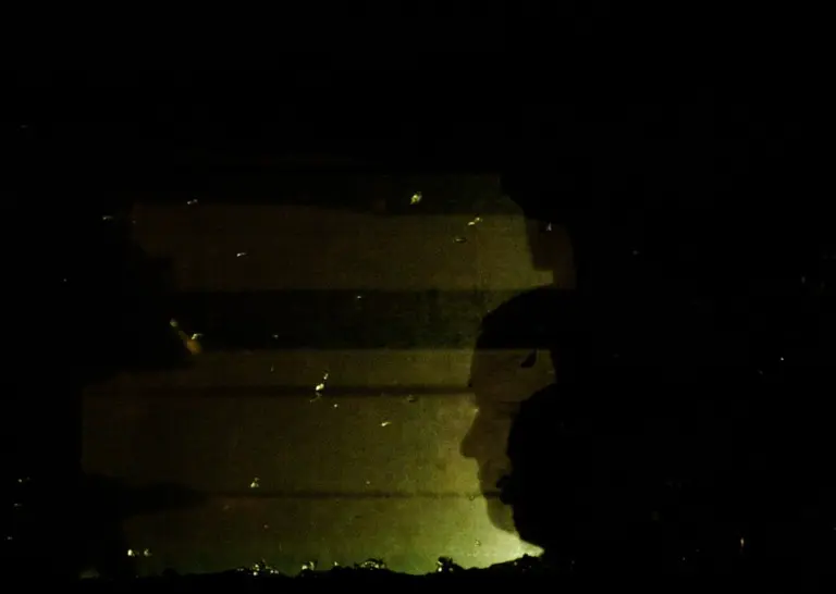 Янина Болдырева – Новый год в поездах 22