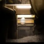 Янина Болдырева – Новый год в поездах 23