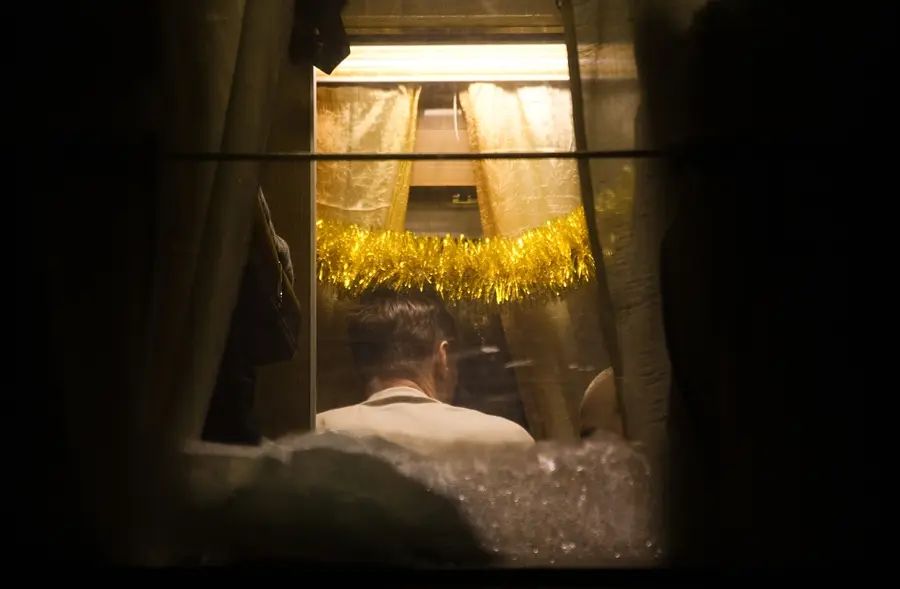 Новый год в поездах 25 Янина Болдырева – Новый год в поездах 25