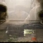 Янина Болдырева – Новый год в поездах 4