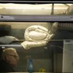 Янина Болдырева – Новый год в поездах 6