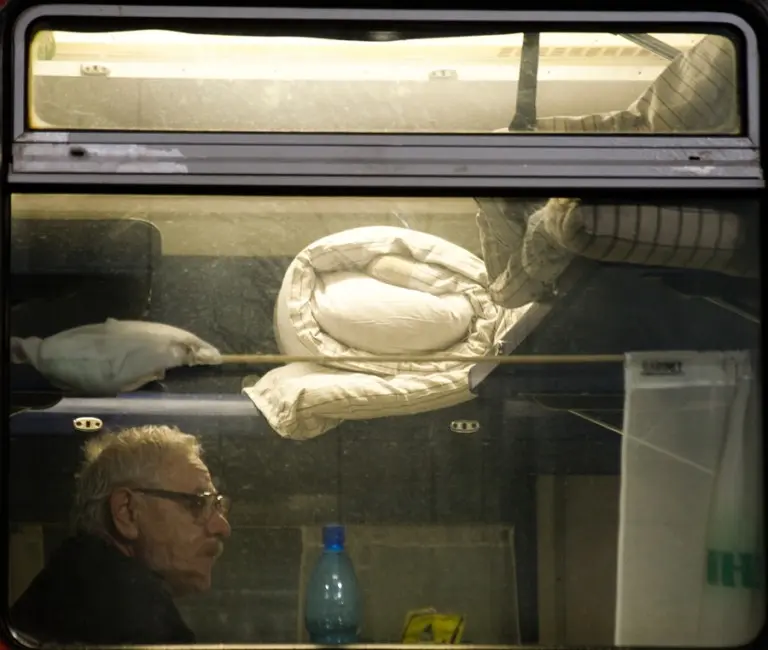 Янина Болдырева – Новый год в поездах 6