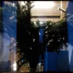 Янина Болдырева – Новый год в поездах 7