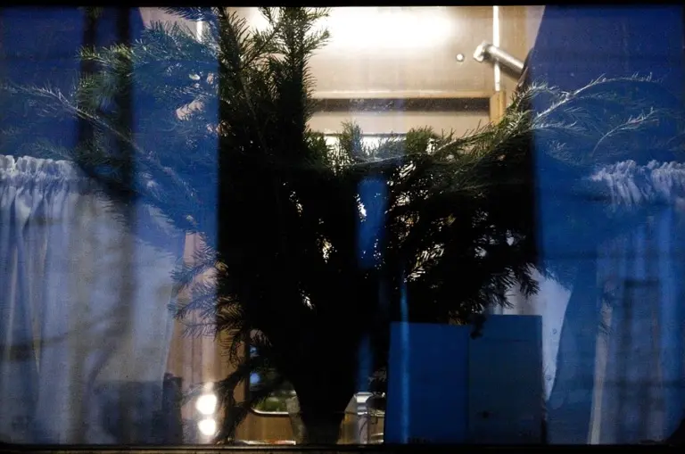 Янина Болдырева – Новый год в поездах 7