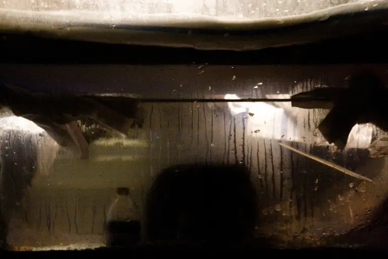 Янина Болдырева – Новый год в поездах 9