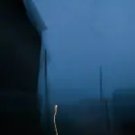 Янина Болдырева – Ноябрьск 8