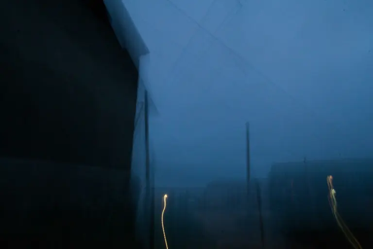 Янина Болдырева – Ноябрьск 8