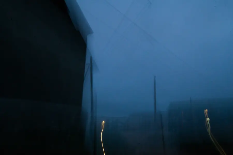 Янина Болдырева – Ноябрьск 8