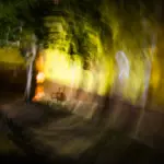 Янина Болдырева – Ноябрьск 9