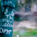 Янина Болдырева – Погружение 13