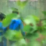 Янина Болдырева – Погружение 15