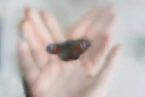 Янина Болдырева – Погружение 18