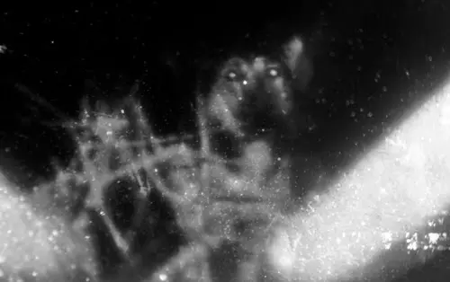 Янина Болдырева – Погружение 19