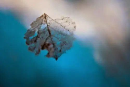 Янина Болдырева – Погружение 2