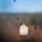 Янина Болдырева – Погружение 22