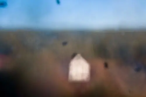 Янина Болдырева – Погружение 22