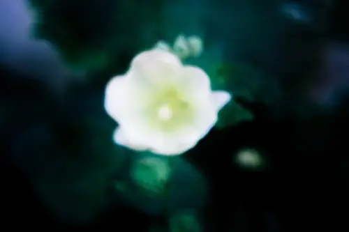 Янина Болдырева – Погружение 29