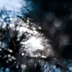 Янина Болдырева – Погружение 3