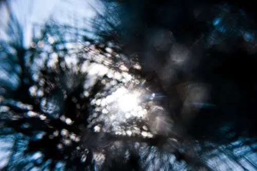 Янина Болдырева – Погружение 3