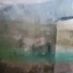 Янина Болдырева – Погружение 31