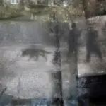 Янина Болдырева – Погружение 34