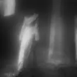 Янина Болдырева – Погружение 36