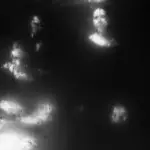 Янина Болдырева – Погружение 37