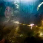 Янина Болдырева – Погружение 6