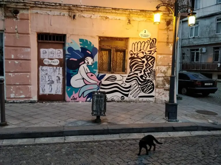 Антония Лев – Стены 47