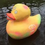 Арт-группа Явь – Арт 4