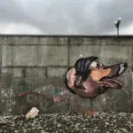 Андрей Druce Boxcar – Фауна 1